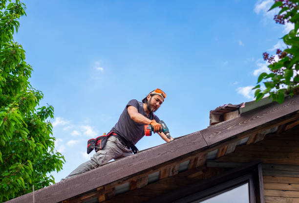 Best Metal Roofing Installation  in Agency Village, SD